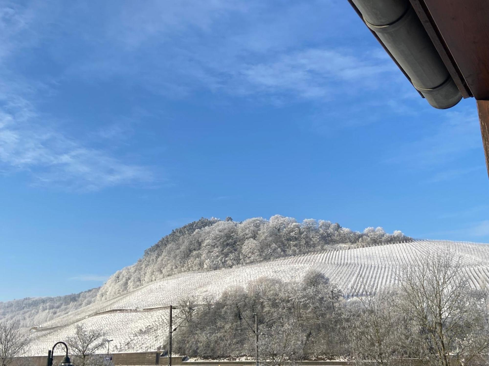 Gaestehaus Und Weingut Bernd Frieden Nittel Bagian luar foto