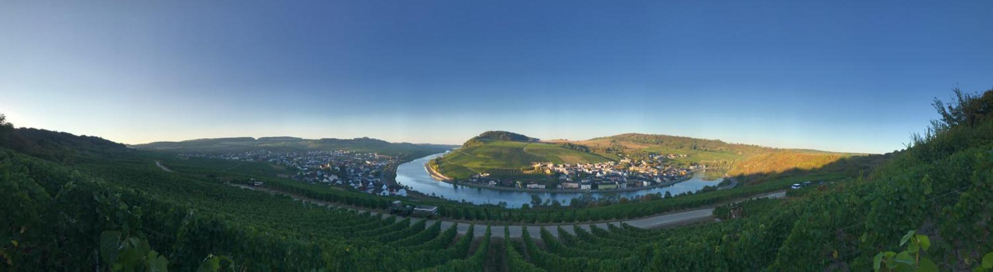 Gaestehaus Und Weingut Bernd Frieden Nittel Bagian luar foto