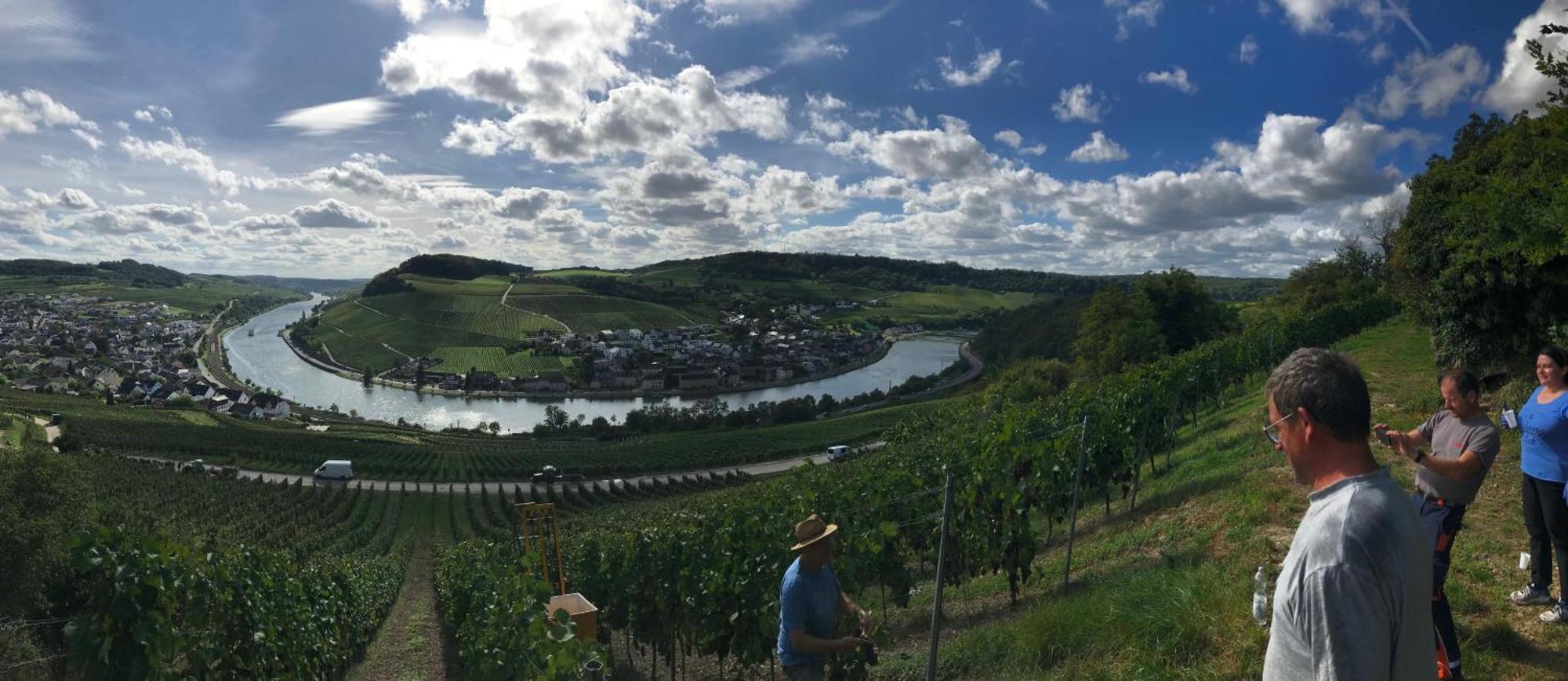 Gaestehaus Und Weingut Bernd Frieden Nittel Bagian luar foto
