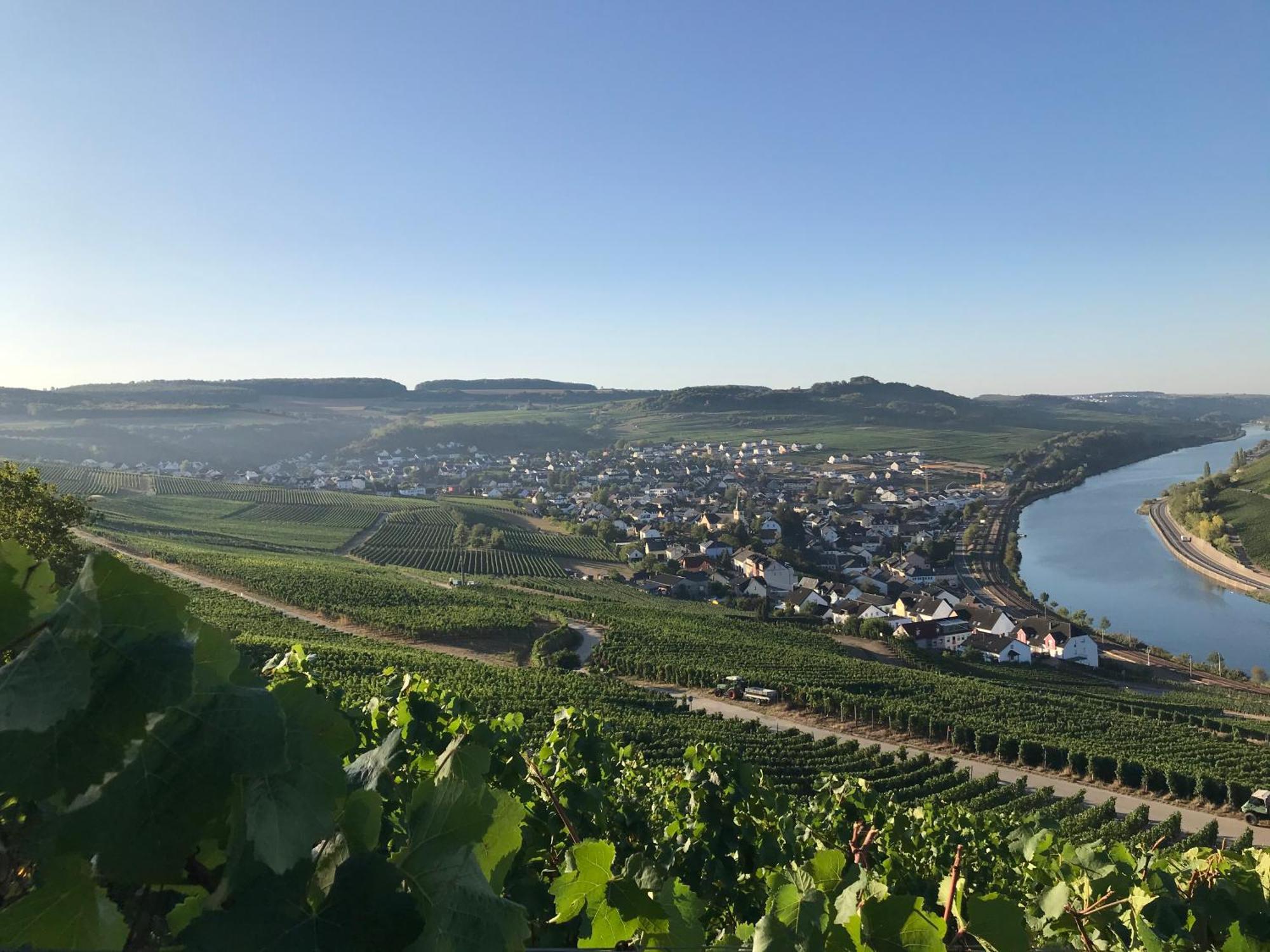 Gaestehaus Und Weingut Bernd Frieden Nittel Bagian luar foto