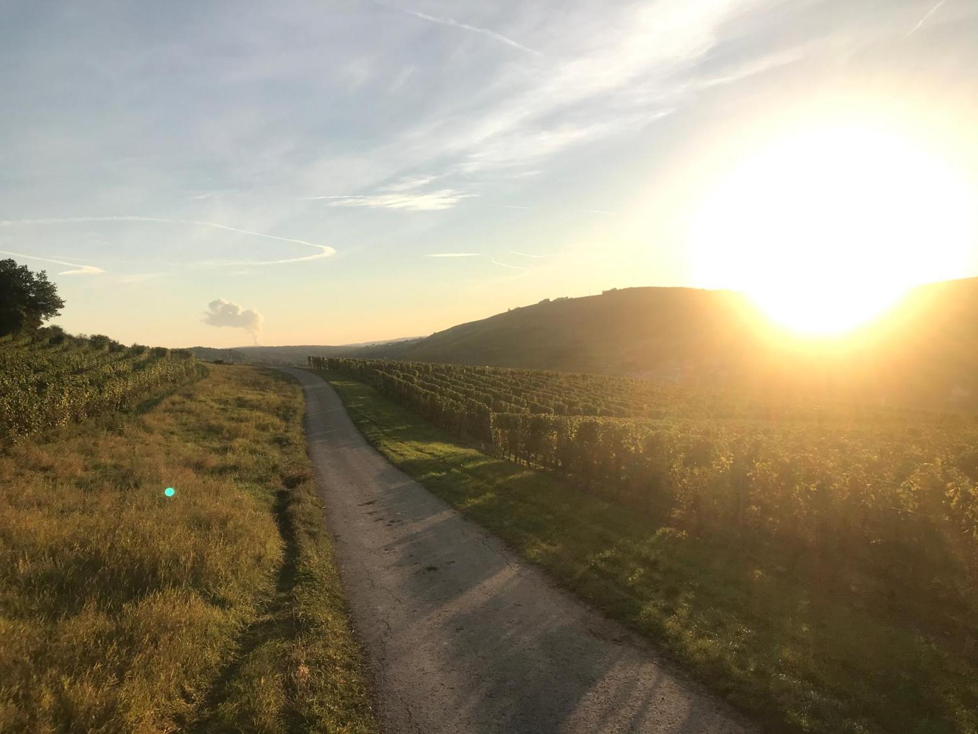 Gaestehaus Und Weingut Bernd Frieden Nittel Bagian luar foto